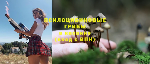 ГАЛЛЮЦИНОГЕННЫЕ ГРИБЫ Покачи
