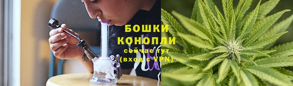 PSILOCYBIN Верхний Тагил