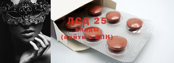 ГАЛЛЮЦИНОГЕННЫЕ ГРИБЫ Покачи