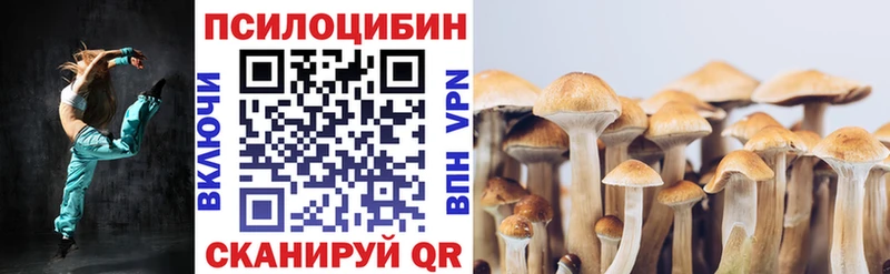 Псилоцибиновые грибы Psilocybe Сим
